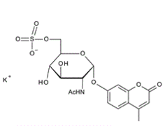 154639-35-7 , 4MU-a-N-sulpho-D-glucosaminide; 4-Methylumbelliferyl 2-acetamido-2-deoxy-a-D-glucopyranoside-6-sulfate potassium salt
