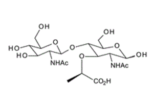 67068-85-3 , 2-Acetamido-4-O-(2-acetamido-2-deoxy-b-D-glucopyranosyl)-2-deoxy-D-muramic acid 
