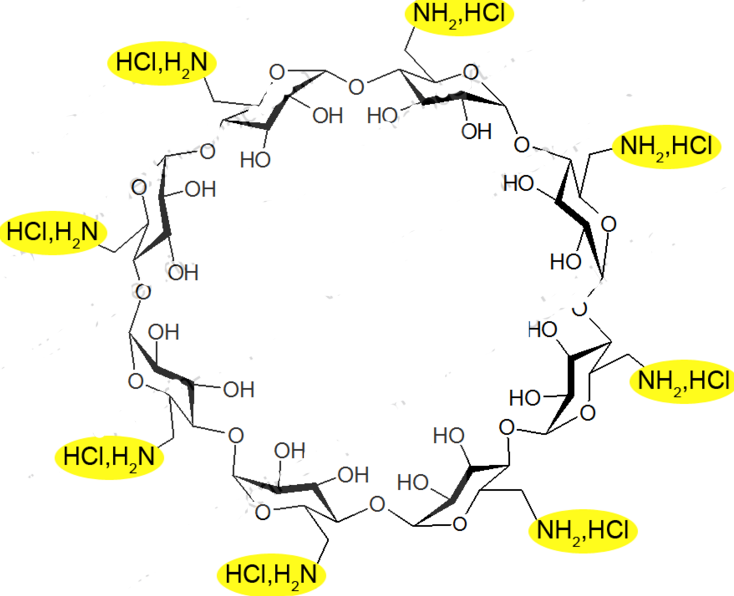 171283-79-7 , 6-Amino-6-deoxy-gamma-cyclodextrin hydrochloride ; Octakis-(6-amino-6-deoxy)-γ-cyclodextrin octahydrochloride