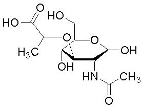 10597-89-4, N-乙酰胞壁酸, N-Acetylmuramic acid, MurNAc, CAS:10597-89-4