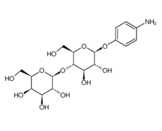 17691-02-0 ,对氨基苯基-beta-D-乳糖苷, 4-Aminophenyl b-D-lactopyranoside, CAS:17691-02-0