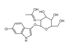 501432-61-7 ,6-Chloro-3-indolyl 2-acetamido-2-deoxy-b-D-galactopyranoside, CAS:501432-61-7