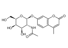 36476-29-6, 4-Methylumbelliferyl 2-acetamido-2-deoxy-b-D-galactopyranoside, CAS: 36476-29-6