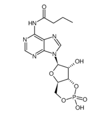 13117-60-7 , monobutyryl cyclic AMP, N6-单丁酰基腺苷-3,5-环单磷酸, CAS:13117-60-7