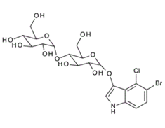 207595-15-1 ,  5-Bromo-4-chloro-3-indolyl a-D-maltopyranoside, X-Maltose