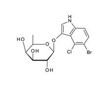 17016-46-5 ,  5-Bromo-4-chloro-3-indolyl b-D-fucopyranoside, X-b-D-Fucoside