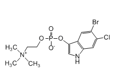641571-93-9 ,  5-Bromo-6-chloro-3-indoxyl choline phosphate, Magenta-phos-choline; Magenta-CP