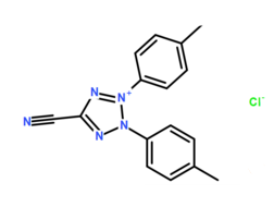 90217-02-0 , 5-Cyano-2,3-di-(p-tolyl)tetrazolium chloride,CTC