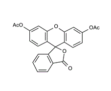 596-09-8 , Fluorescein diacetate; 3,6-Diacetoxyfluoran; Di-O-acetylfluorescein
