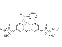 217305-49-2, Fluorescein diphosphate tetraammonium salt