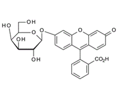 102286-67-9 , FMGal,Fluorescein mono-b-D-galactopyranoside