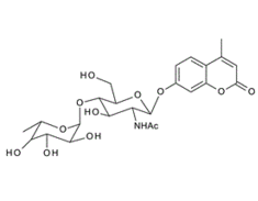 383160-13-2 , Fuc-a-1,4-GlcNAc-b-4MU; 4-Methylumbelliferyl 2-acetamido-2-deoxy-4-O-(a-L-fucopyranosyl)-b-D-glucopyranoside