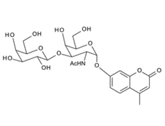 210357-36-1 , Gal-b-1,3-GalNAc-a-4MU; 4-Methylumbelliferyl 2-acetamido-3-O-(b-D-galactopyranosyl)-a-D-galactopyranoside