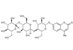 84325-18-8 , 4-Methylumbelliferyl b-D-cellotrioside,MUC