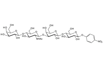 197526-33-3 , 4-Nitrophenyl b-lacto-N-neotetraoside; Gal-b-1,4-GlcNAc-b-1,3-Gal-b-1,4-Glc-b-pNP