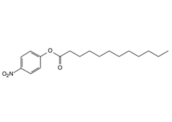 1956-11-2 ,4-硝基苯基月桂酸酯,4-Nitrophenyl laurate;4-Nitrophenyl dodecanoate