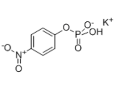 208651-58-5 , pNP-Phos K;4-Nitrophenyl phosphate potassium salt