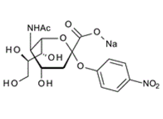 123549-14-4 , Neu5Ac-a-PNP.Na; 2-O-(4-Nitrophenyl)-a-D-N-acetylneuraminic acid sodium salt