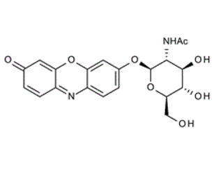 124762-32-9 , Resorufin N-acetyl-b-D-glucosamine