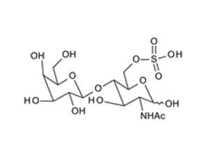 97045-11-9 , 	6-Su-LacNAc ; 2-Acetamido-2-deoxy-4-O-(b-D-galactopyranosyl)-6-sulfo-b-D-glucopyranose