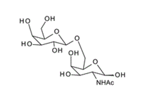 209977-51-5 , 	Gal-b-1,6-GalNAc ; 2-Acetamido-2-deoxy-6-O-(b-D-galactopyranosyl)-D-galactopyranose