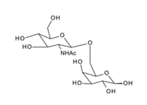 20212-77-5 , GlcNAc-b-1,6-Gal ; 6-O-(2-Acetamido-2-deoxy-b-D-glucopyranosyl)-D-galactopyranose