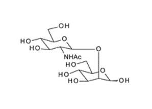 34621-73-3 , GlcNAc-b-1,2-Man; b-1-2 N-Acetylglucosamine mannose ; 2-O-(2-Acetamido-2-deoxy-b-D-glucopyranosyl)-D-mannopyranose
